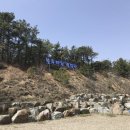 블루마린 캠핑장 이미지