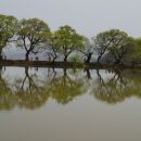 반곡저수지 이미지