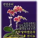 샬롬 - 제주시 신광로 27 | 샬롬