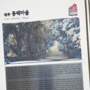 신흥2리(동백마을)농촌체험휴양마을 | 제주여행!제주가볼만한곳!제주동백꽃명소!서귀포여행지동백마을!동백꽃길.제주농촌체험마을