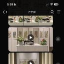 화성P&F | 돌끝•시시호일•홈투데이•푸르미르호텔