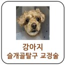 더본 동물병원 이미지