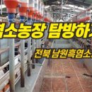 남원흑염소농장 2농장 이미지