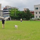 중랑천변3(다락원) 이미지