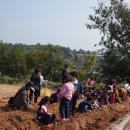 참마음유치원 이미지