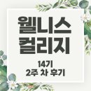 선문대학교 교육대학원 | [웰니스컬리지 14기🌿] 2주 차 후기 : 웰니스 키트 언박싱, 차명상/색채명상, 명상의 이해, ACT, MSL...