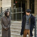 호랑이네 이미지