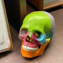 수원-0022 이미지