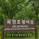 산은 언제나 그 자리에 있다 | 임실 여행 옥정호 출렁다리 붕어섬 트레킹 코스 후기