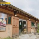 포천마늘