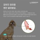 인방동물의료센터 이미지