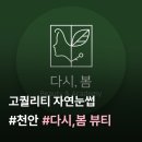 CU아산뉴한올점 | [천안/아산] 천안 아산 자연눈썹 잘하는 곳 “다시, 봄 뷰티” 고퀄리티 눈썹 디자인