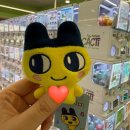 철산상업지구 | [철산역] 캑티 가챠샵 : 철산역 상업지구 인형뽑기, 가챠샵 후기