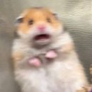 황금목장2 이미지