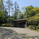 엘스약국 이미지