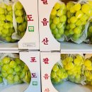 믿음과일가게