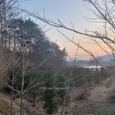 이팝농장 이미지