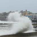 제주도 고비 이미지