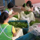 대구가톨릭치매센터 이미지