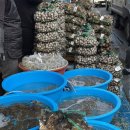 벌교제일수산 이미지