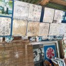 이케이앤 이미지