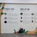 곤충생태전시관 티스토리