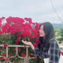 100년 상상관 | :밀양아리랑 대축제: 밀양에 대한 이미지를 바꾼 국내 최대의 축제