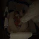 호쿤