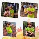 칭찬나라어린이집 | (🥰아이들에게 꿈을 심어 주는 송파구 삼전동 새빛어린이집 소식) ~~ 청계산 숲체험 후기.🥰