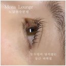 눈썹나라피부나라