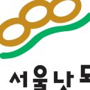 더 낫도 네이버블로그