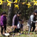산림청 영월국유림관리소 이미지
