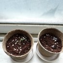 재욱세탁소 | 6월의 초여름