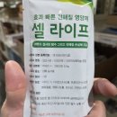 서일 농장 | 송아지 설사 전해질 영양제 셀 라이프 사용 후기 및 제품 정보 정리