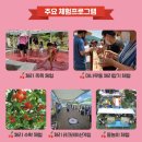 감산1리 네이버블로그