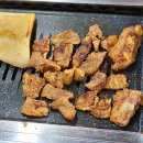 돼지세상 이미지