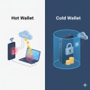 키스톤 | 비트코인 개인지갑 키스톤프로3 내돈내산 후기