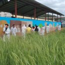 진양농장 이미지