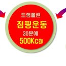 바로점핑