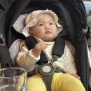 제주파도소리 이미지