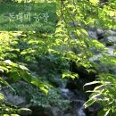 지연농장 이미지