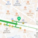 대구 고양이분양 캣갤러리 이미지