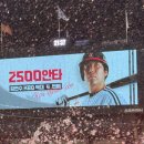 트윈스안경 | 엘지트윈스 2025 Summer Holic 후기 2탄