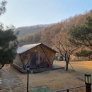 산초리니