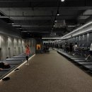 피트니스 메이트 이미지