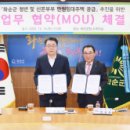 부영약품 이미지