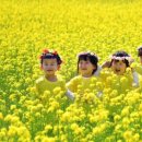 개화1리마을회관 이미지