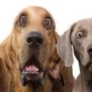 삼성면사무소 이미지