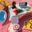 피크닉데이(picnic day)