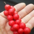 대간물농장 이미지